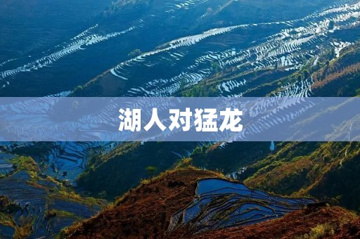 湖人对猛龙:一场激烈的对决 湖人对猛龙:一场激烈的对决