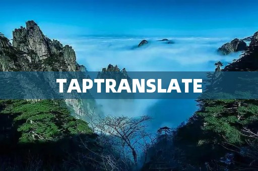 TAPTRANSLATE：智能翻译应用，让你的旅行无忧