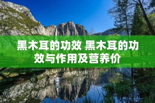 黑木耳的功效 黑木耳的功效与作用及营养价