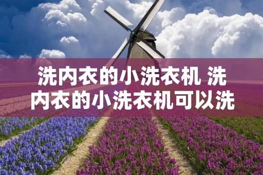 洗内衣的小洗衣机 洗内衣的小洗衣机可以洗袜子吗