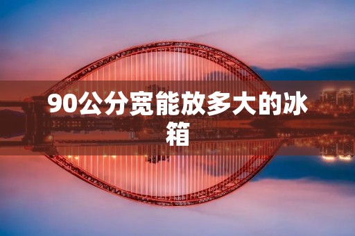 90公分宽能放多大的冰箱：选择适合你需求的冷藏容量