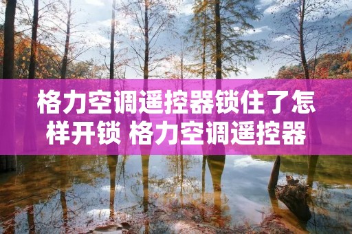 格力空调遥控器锁住了怎样开锁 格力空调遥控器锁了怎么办?