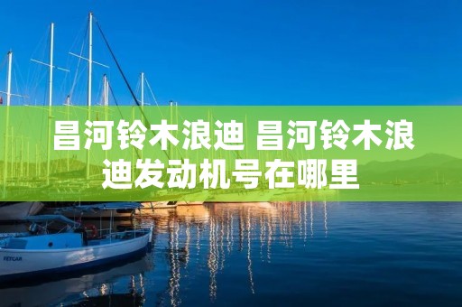昌河铃木浪迪 昌河铃木浪迪发动机号在哪里