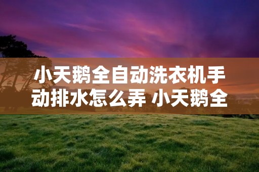 小天鹅全自动洗衣机手动排水怎么弄 小天鹅全自动洗衣机手动排水怎么弄好