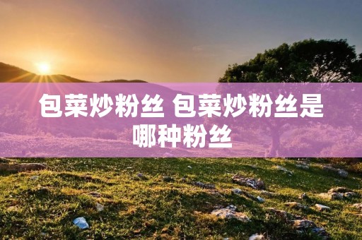 包菜炒粉丝 包菜炒粉丝是哪种粉丝