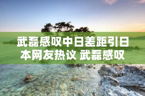武磊感叹中日差距引日本网友热议 武磊感叹中日差距引日本网友热议是真的吗