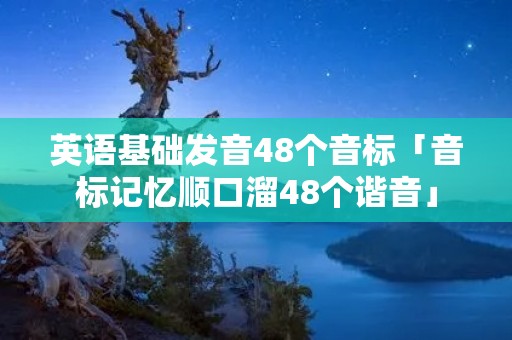 英语基础发音48个音标「音标记忆顺口溜48个谐音」