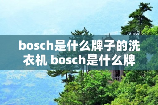 bosch是什么牌子的洗衣机 bosch是什么牌子的洗衣机怎么用