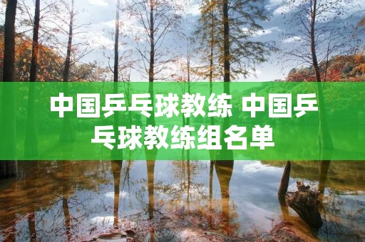 中国乒乓球教练 中国乒乓球教练组名单