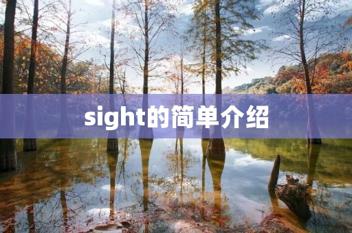 sight的简单介绍 sight的简单介绍