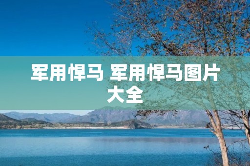 军用悍马 军用悍马图片大全
