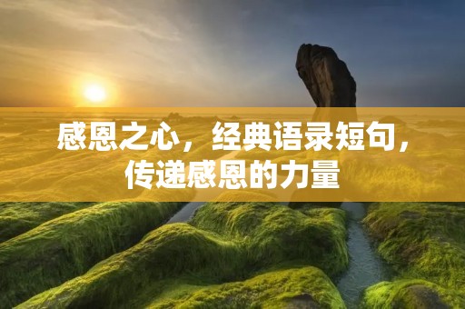 感恩之心,经典语录短句,传递感恩的力量