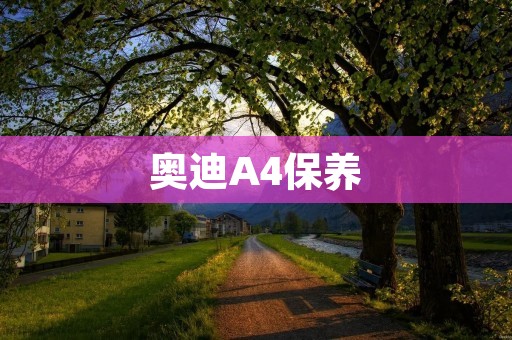 奥迪A4保养：延长车辆寿命的关键维护措施