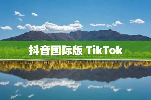 抖音国际版 TikTok:全球热门短视频平台 抖音国际版 TikTok:全球热门短视频平台