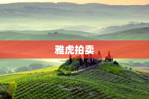 雅虎拍卖:带你走进全球最大的互联网拍卖平台 雅虎拍卖:带你走进全球最大的互联网拍卖平台