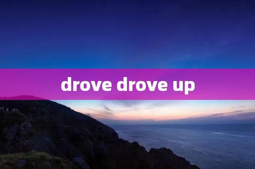 drove drove up