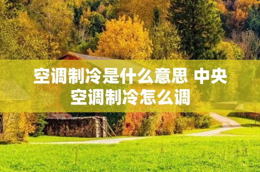 空调制冷是什么意思 中央空调制冷怎么调 空调制冷是什么意思 中央空调制冷怎么调