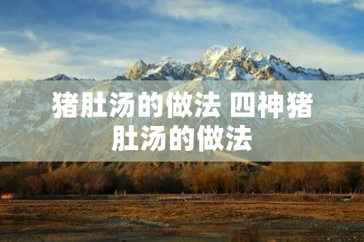 猪肚汤的做法 四神猪肚汤的做法