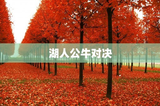 湖人公牛对决：历史的辉煌与传奇