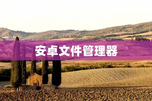 安卓文件管理器：轻松管理你的手机文件