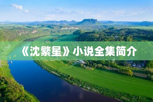 《沈繁星》小说全集简介 《沈繁星》小说全集简介