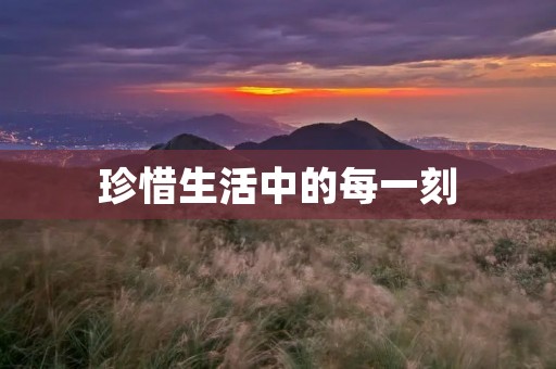 珍惜生活中的每一刻 珍惜生活中的每一刻