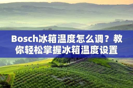 Bosch冰箱温度怎么调?教你轻松掌握冰箱温度设置技巧! Bosch冰箱温度怎么调?教你轻松掌握冰箱温度设置技巧!