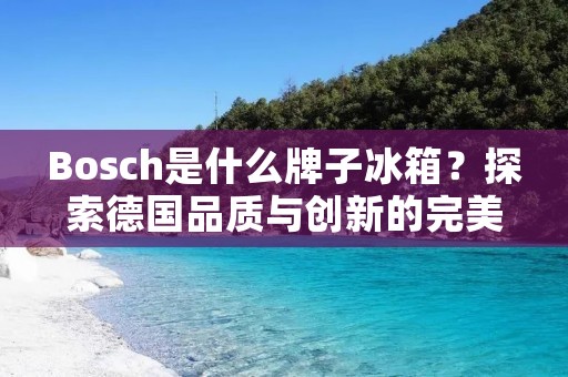 Bosch是什么牌子冰箱?探索德国品质与创新的完美结合 Bosch是什么牌子冰箱?探索德国品质与创新的完美结合