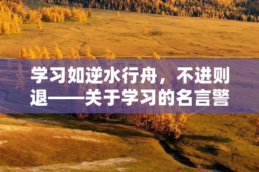 学习如逆水行舟，不进则退——关于学习的名言警句