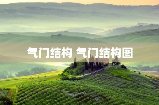 气门结构 气门结构图 气门结构 气门结构图