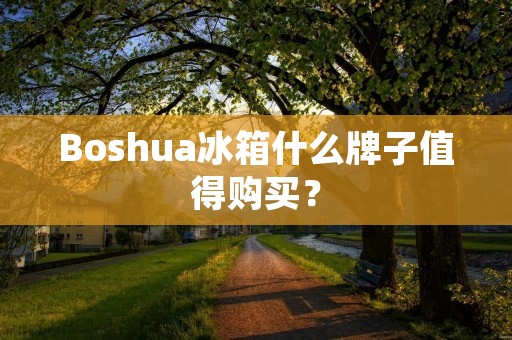 Boshua冰箱什么牌子值得购买？