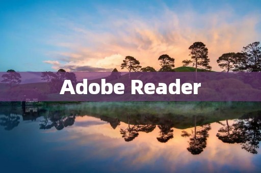 Adobe Reader：强大的PDF阅读工具