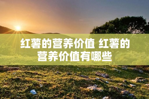 红薯的营养价值 红薯的营养价值有哪些