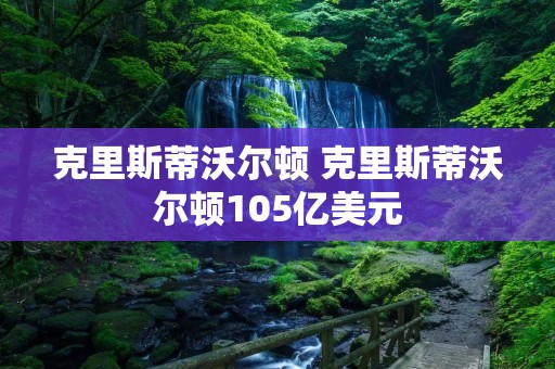 克里斯蒂沃尔顿 克里斯蒂沃尔顿105亿美元