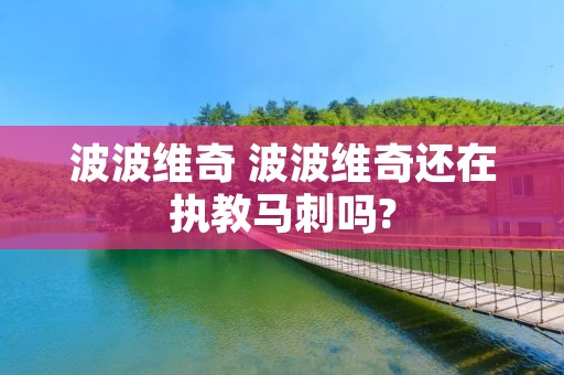 波波维奇 波波维奇还在执教马刺吗? 波波维奇 波波维奇还在执教马刺吗?