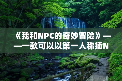《我和NPC的奇妙冒险》——一款可以以第一人称插NPC的游戏