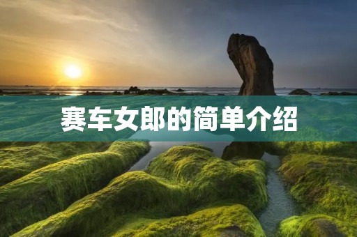 赛车女郎的简单介绍