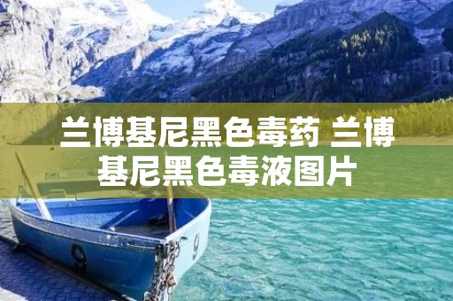 兰博基尼黑色毒药 兰博基尼黑色毒液图片 兰博基尼黑色毒药 兰博基尼黑色毒液图片