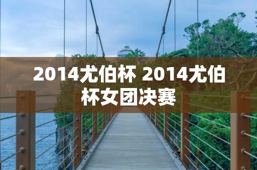2014尤伯杯 2014尤伯杯女团决赛 2014尤伯杯 2014尤伯杯女团决赛