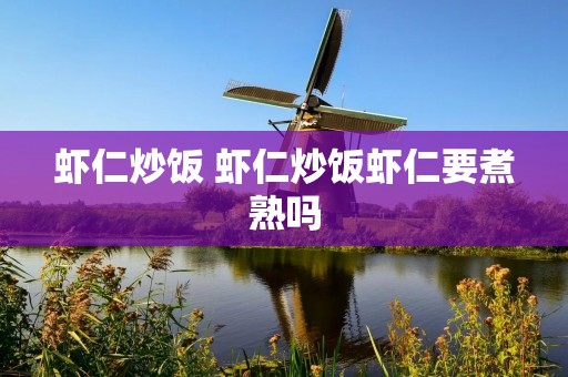 虾仁炒饭 虾仁炒饭虾仁要煮熟吗