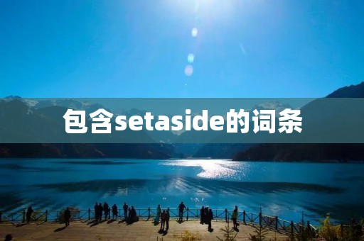 包含setaside的词条