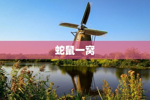 蛇鼠一窝:揭开人际关系中的勾心斗角