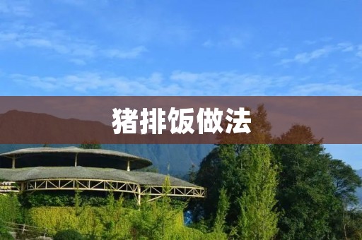 猪排饭做法:美味可口的家常料理 猪排饭做法:美味可口的家常料理