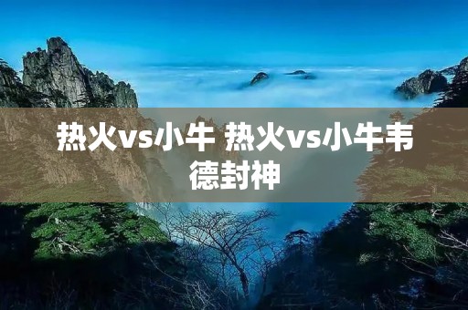 热火vs小牛 热火vs小牛韦德封神