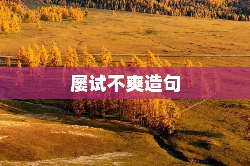 屡试不爽造句:探索成功的秘诀