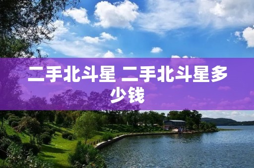 二手北斗星 二手北斗星多少钱