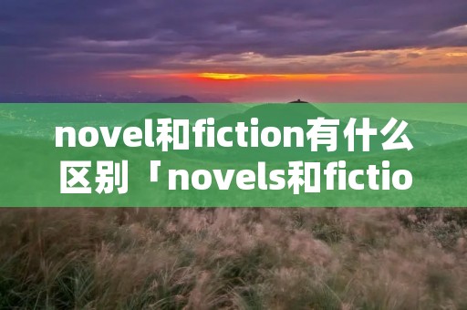 novel和fiction有什么区别「novels和fiction的区别」