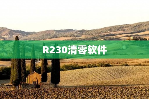 R230清零软件：让您的汽车恢复出厂设置
