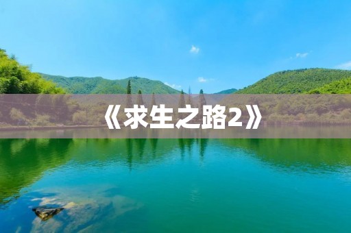 《求生之路2》:生存与合作的极限挑战 《求生之路2》:生存与合作的极限挑战