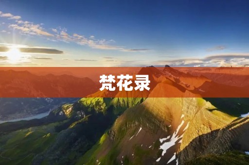 梵花录：探寻佛教禅宗的奥秘